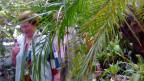 Tarp palmių botanikos sode